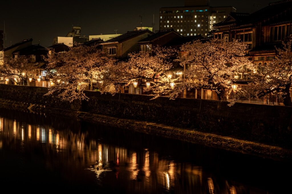 夜桜と主計町茶屋街