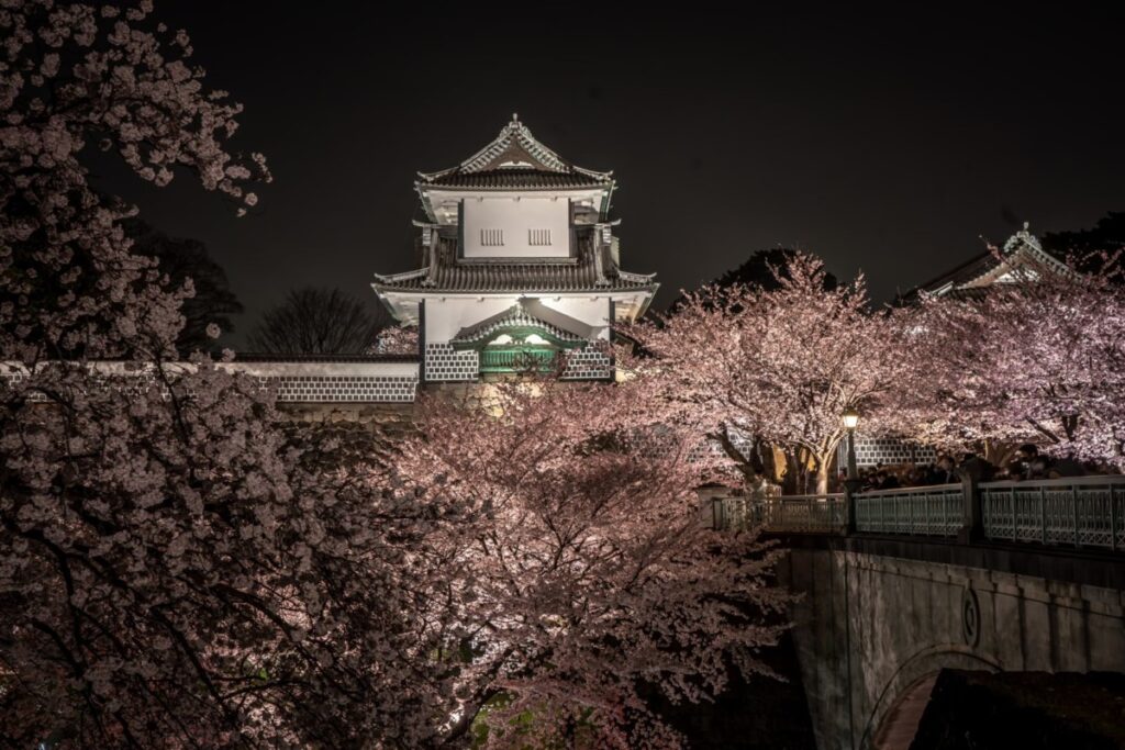 夜桜と金沢城