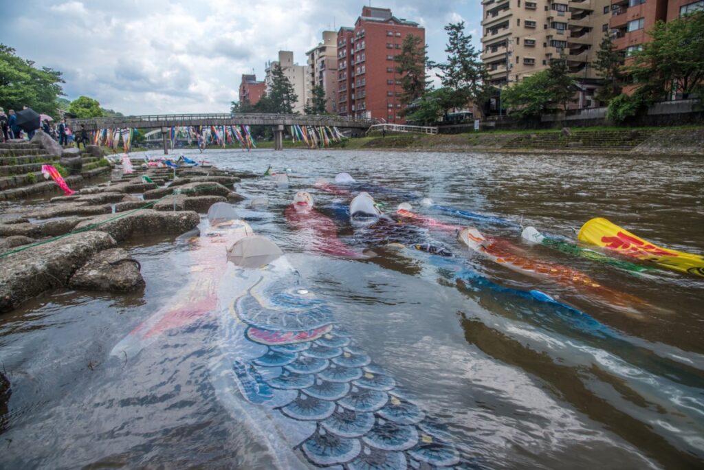 浅野川の鯉のぼり流し