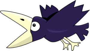 crow_a03