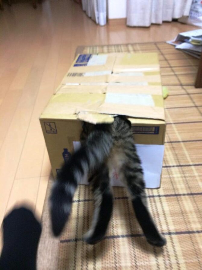 912